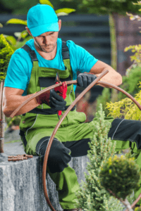 Irrigation & Sprinklers by Catalina Landscaping